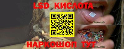 сатива Бузулук