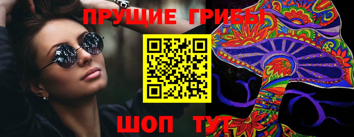 Псилоцибиновые грибы Psilocybine cubensis Пенза