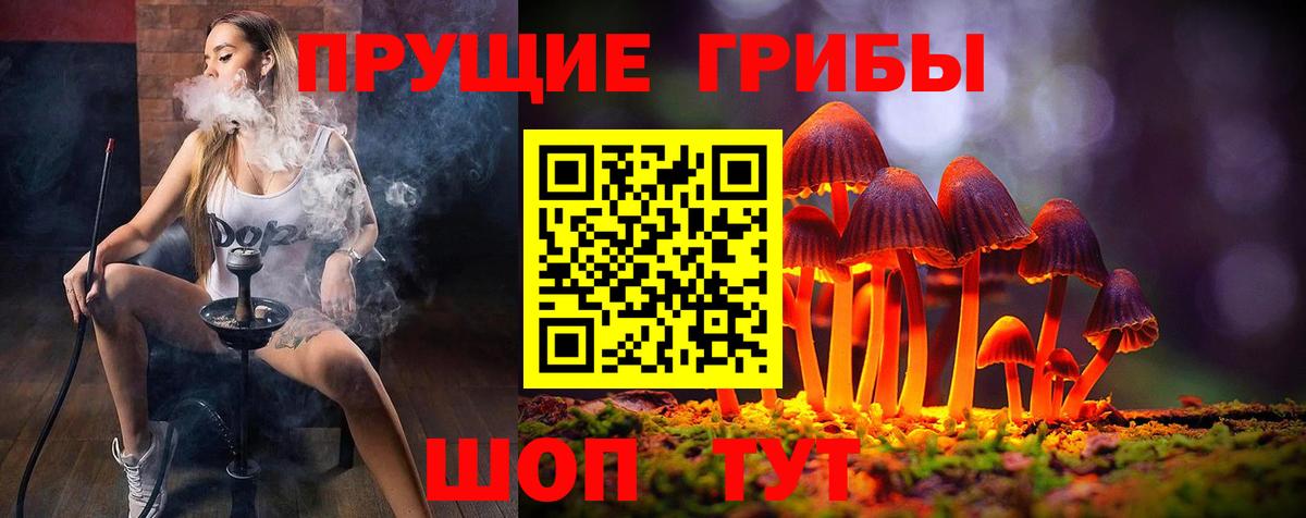 Галлюциногенные грибы Magic Shrooms Пенза