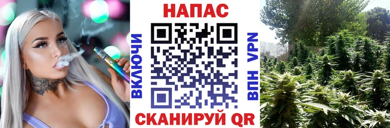 МАРИХУАНА ГИДРОПОН  Пенза 